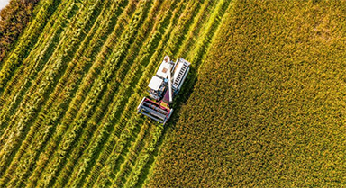 �����f������ӭ�S��